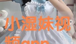 湿妹在线观看,揭秘网络直播的火热魅力